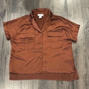 Silky short sle blouse